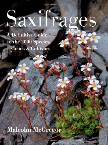 Malcolm McGregor/Saxifrages@ A Definitive Guide to 2000 Species, Hybrids & Cul